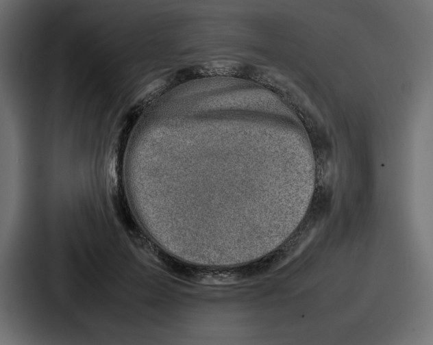 X0000087050599200705160953