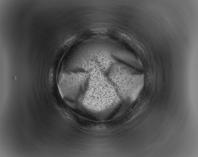 X0000087050600200705160953