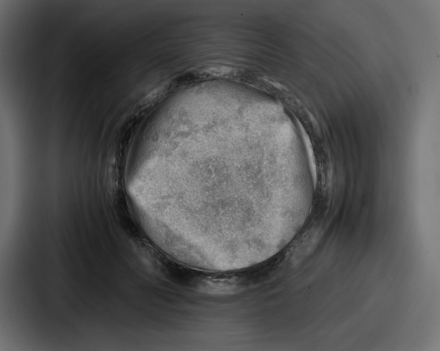 X0000087050606200705160953