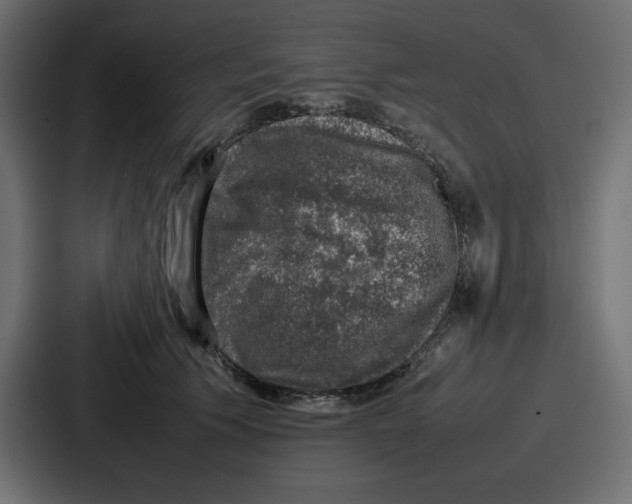 X0000087050609200705160953