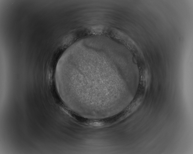 X0000087050610200705160953