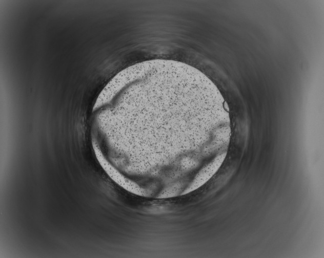 X0000087050612200705160953