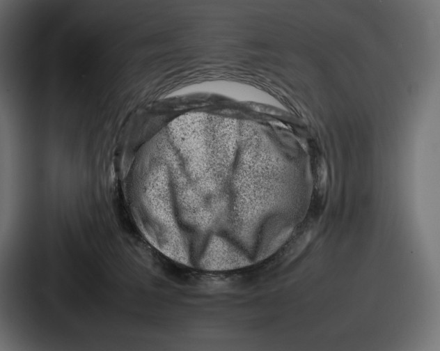 X0000087050613200705160953