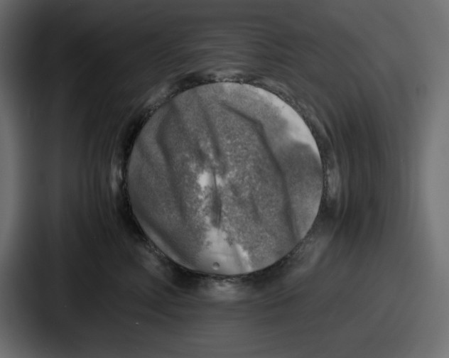 X0000087050618200705160952