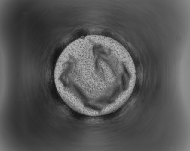 X0000087050619200705160952