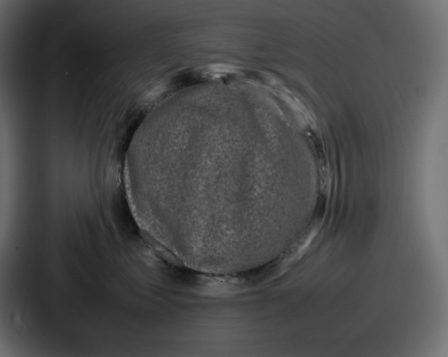 X0000087050621200705160952