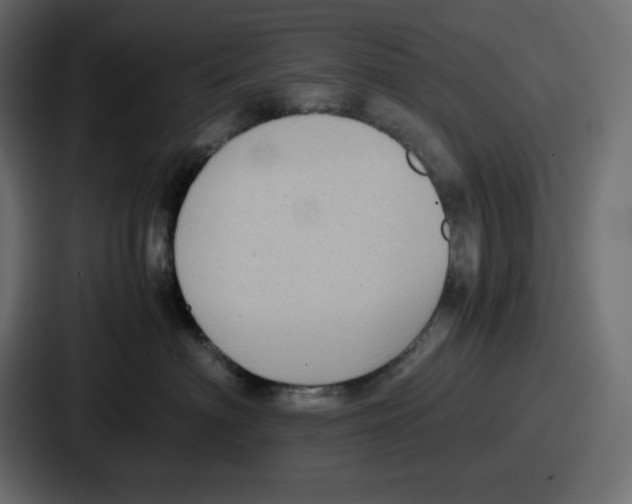 X0000087050622200705160952