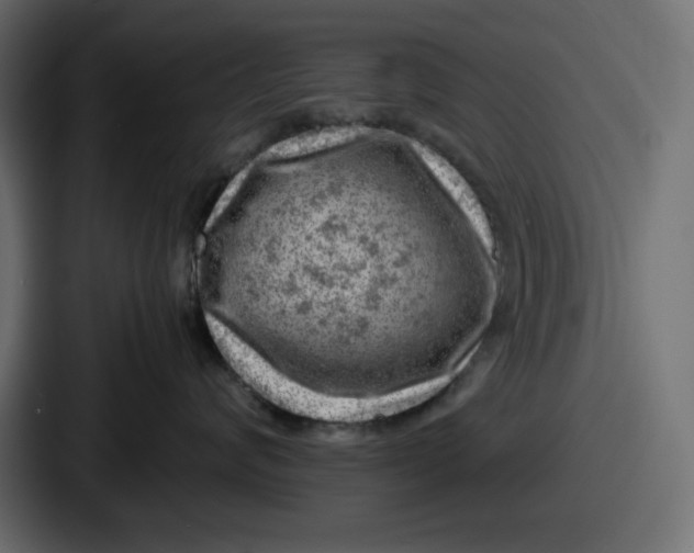 X0000087050624200705160952