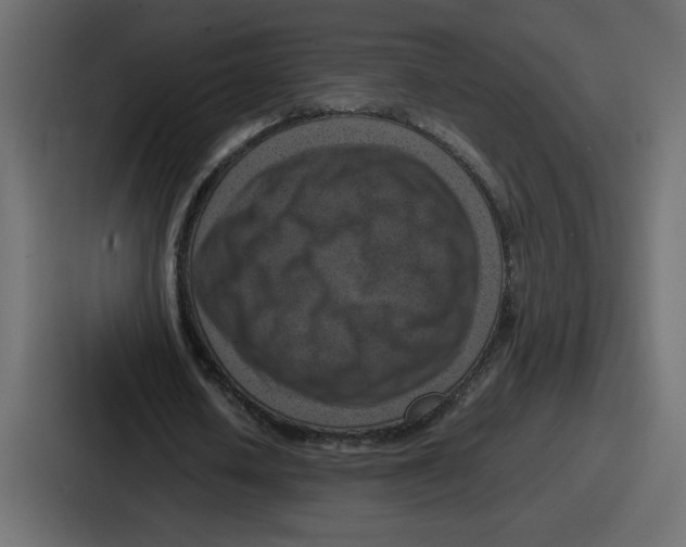 X0000087050626200705160952