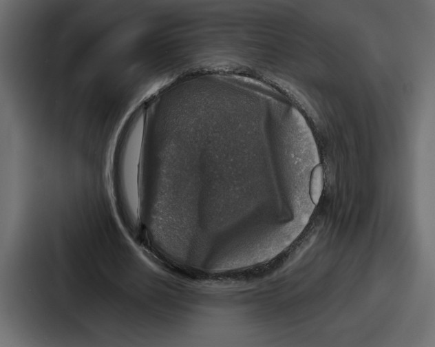 X0000087050630200705160952