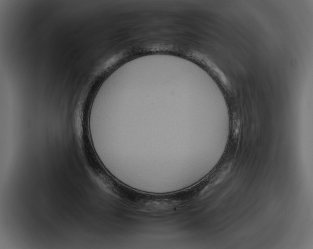 X0000087050631200705160952