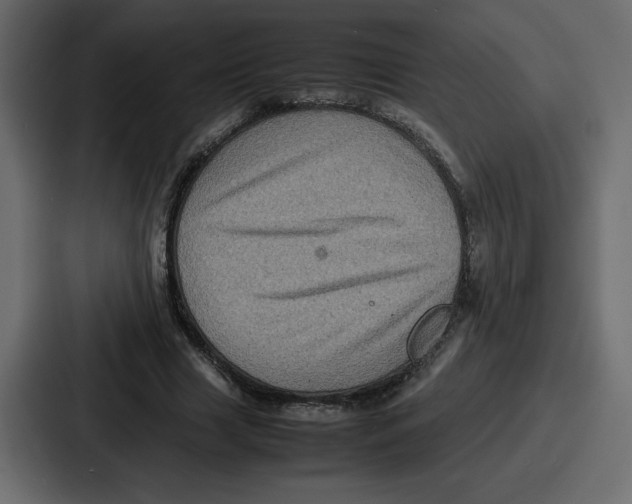 X0000087050633200705160952