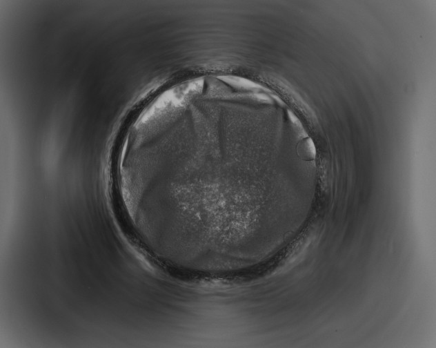 X0000087050634200705160952