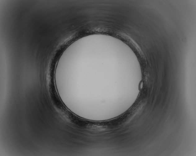 X0000087050635200705160952