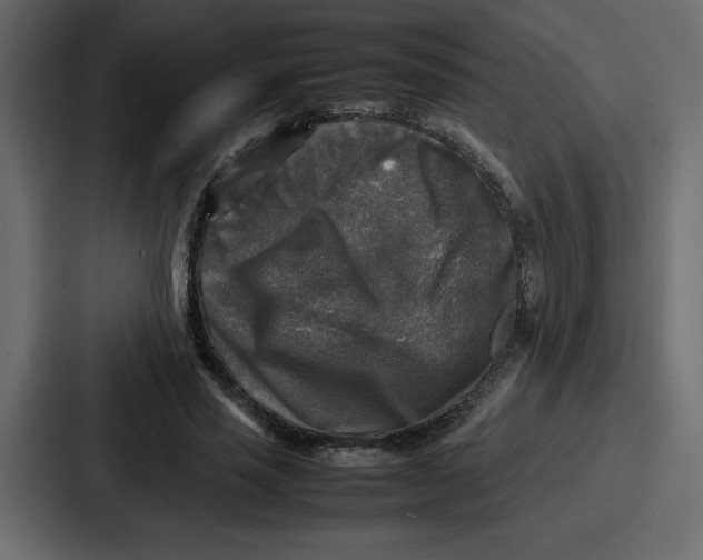 X0000087050637200705160952