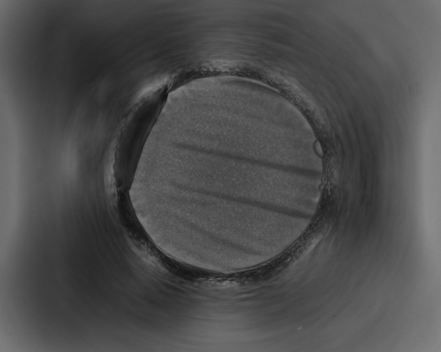 X0000087050640200705160952