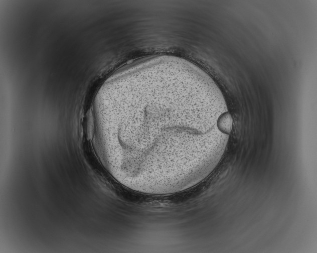 X0000087050642200705160952