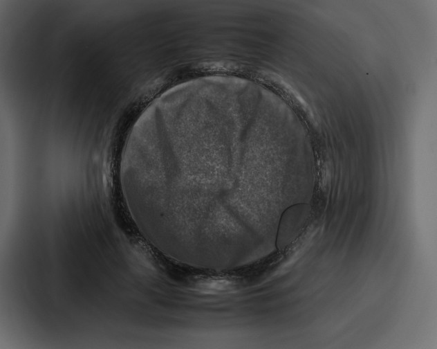 X0000087050643200705160952