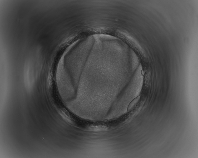 X0000087050644200705160952