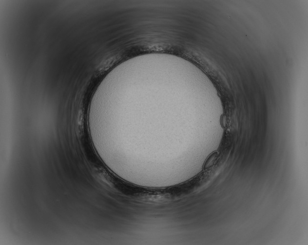 X0000087050646200705160952