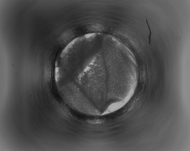 X0000087050647200705160952