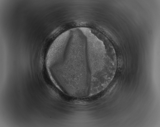 X0000087050648200705160952