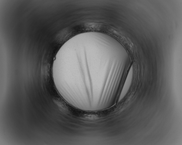 X0000087050649200705160952