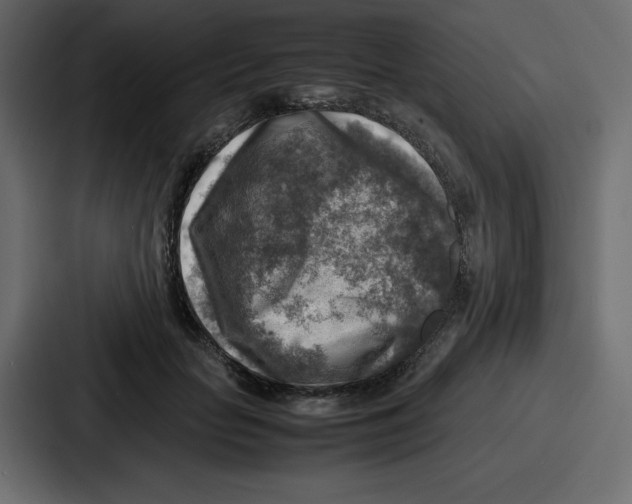 X0000087050653200705160952