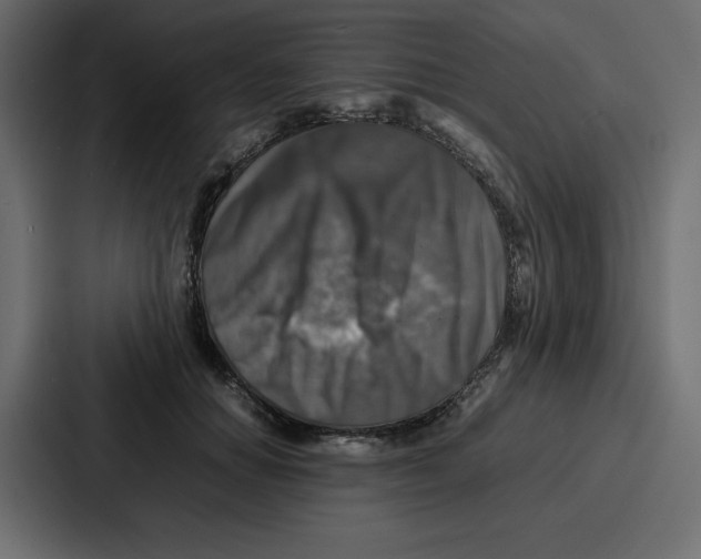 X0000087050654200705160952