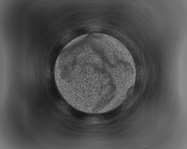 X0000087050655200705160952