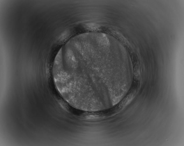 X0000087050658200705160952