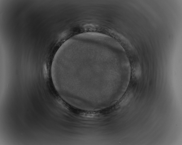 X0000087050661200705160952