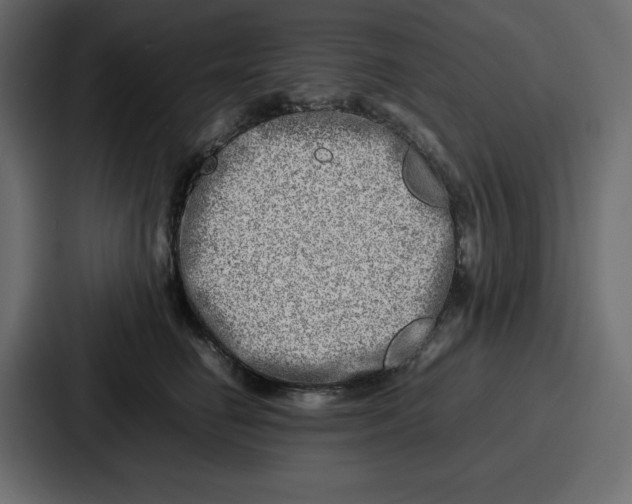 X0000087050662200705160952