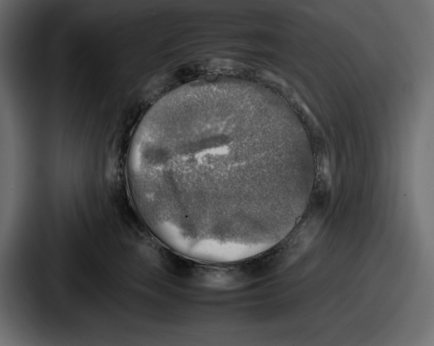 X0000087050663200705160952