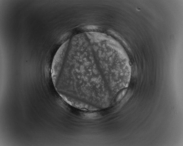 X0000087050669200705160952