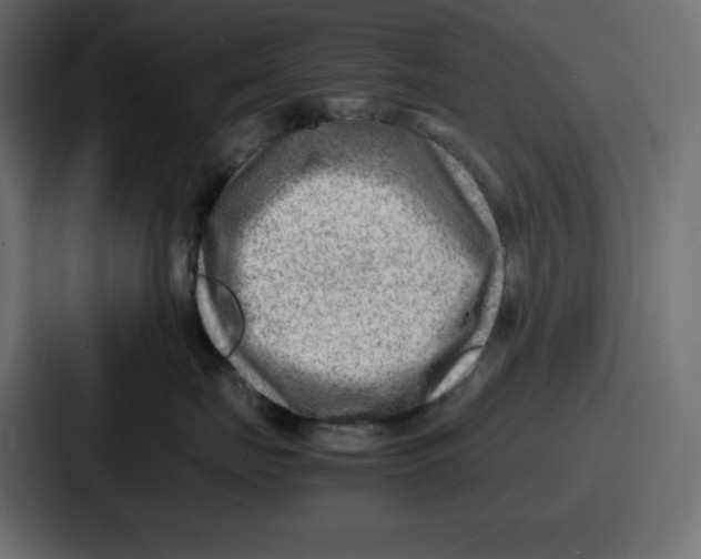 X0000087050671200705160952