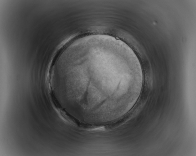 X0000087050674200705160952