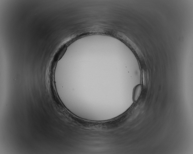 X0000087050675200705160952