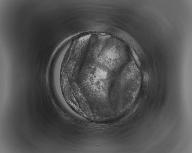 X0000087050676200705160952