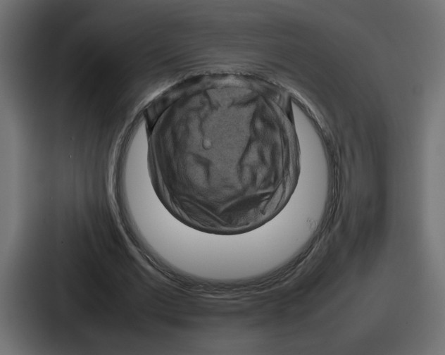 X0000087050677200705160952