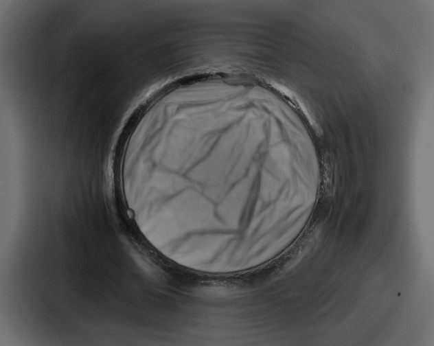 X0000087050678200705160951