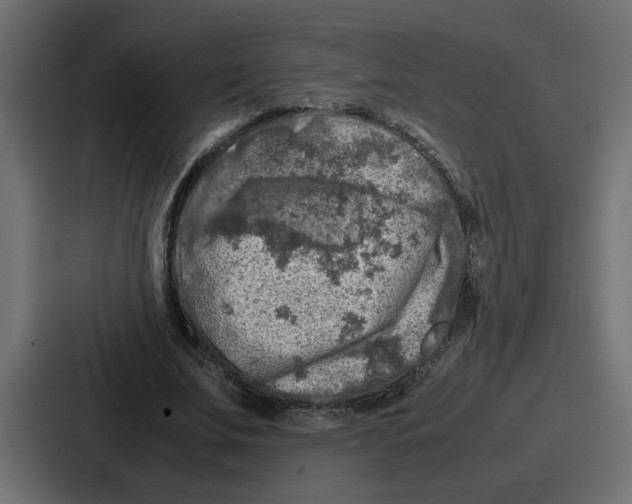 X0000087050679200705160951