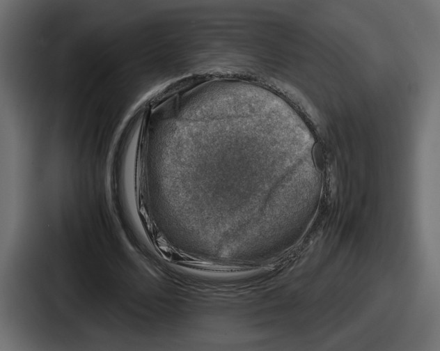 X0000087050680200705160951