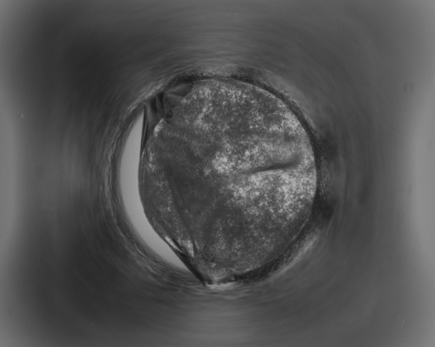 X0000087050681200705160951