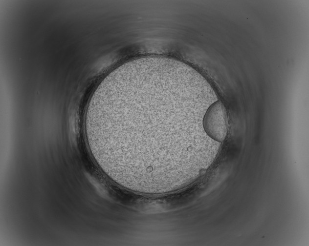 X0000087050683200705160951