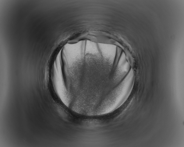 X0000087050685200705160951