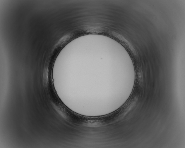 X0000087050686200705160951