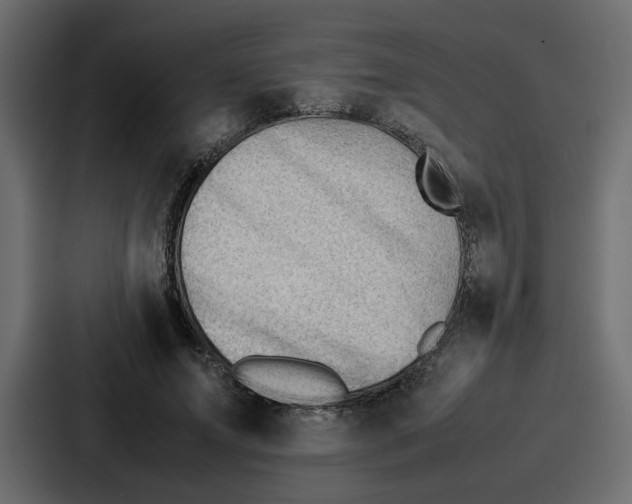 X0000087050687200705160951