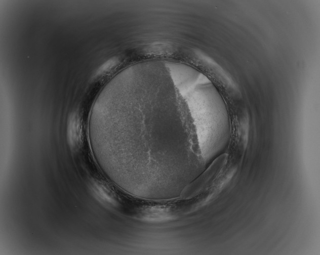 X0000087050692200705160951