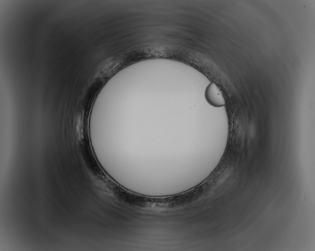 X0000087050694200705160951